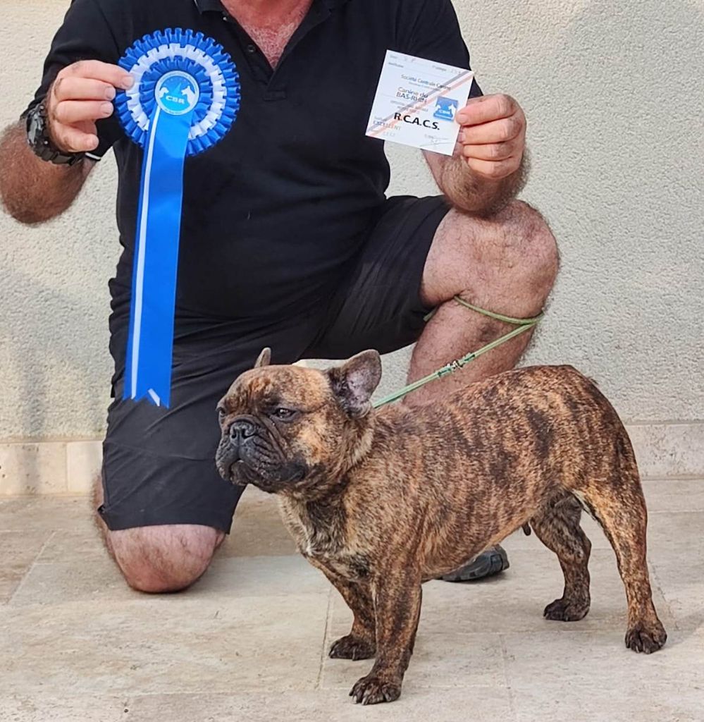 Polpette (Sans Affixe)